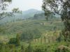A14 Rwanda mille collines.JPG